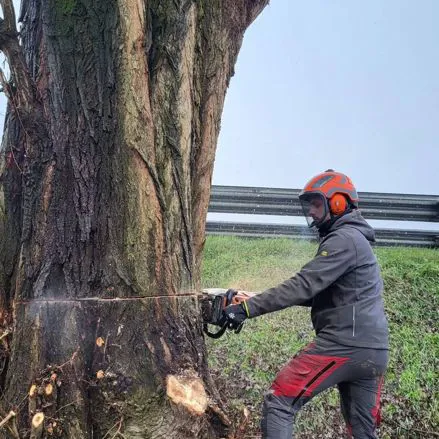 I nostri lavori