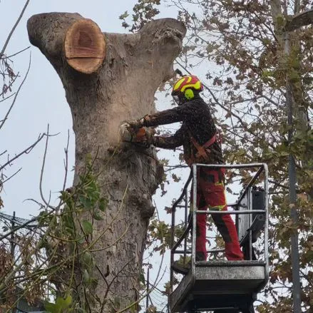 I nostri lavori